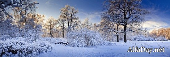 �������� ������ ��������