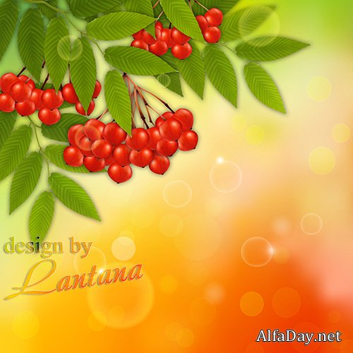 PSD �������� - ����� ������