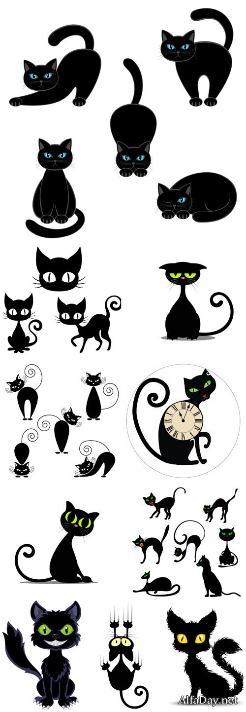 Black cat in different poses