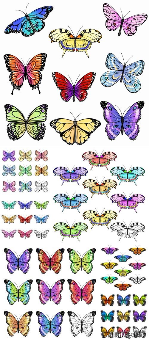 Butterflies, vector illustration