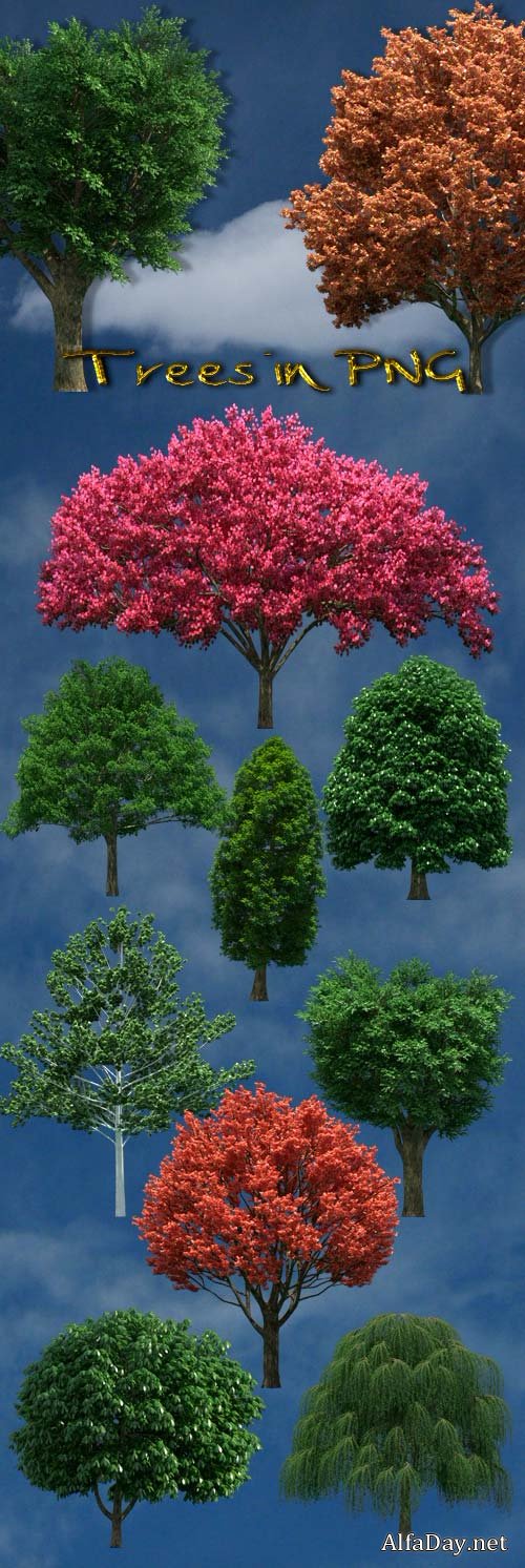 ������� �� ���������� ���� PNG