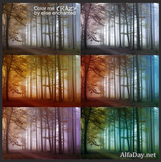 ������ ��� Photoshop - ��������� �������� ���� ��� ��������� ����