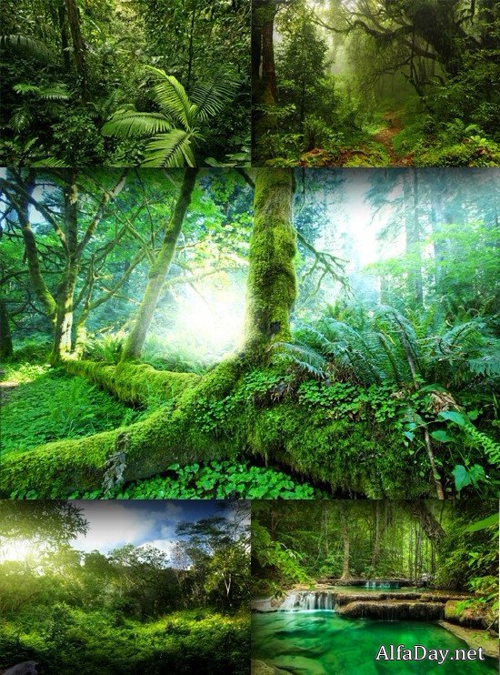 ������������ ������� � ����������� ���� - ���� �������