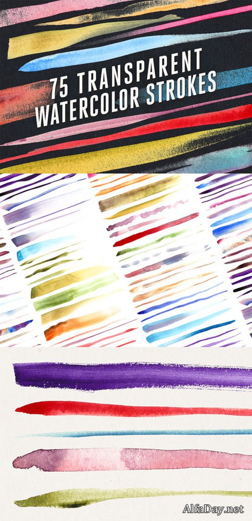 Creativemarket - 75 Transparent Watercolor Strokes 69611