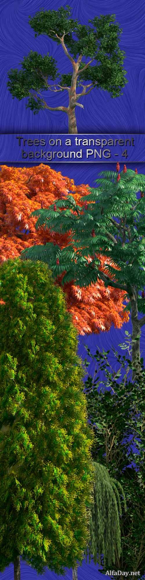 ������������ ������� �� ���������� ���� - ������� PNG