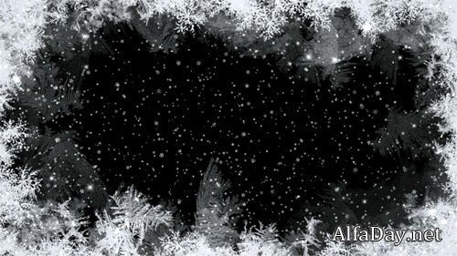 Winter snowy footage from frost