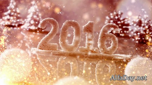 New Year 2016 footage - 2