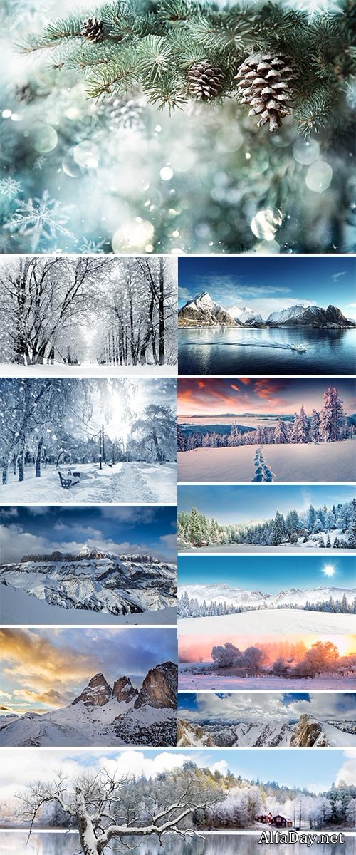 Stock Image Winter scenery