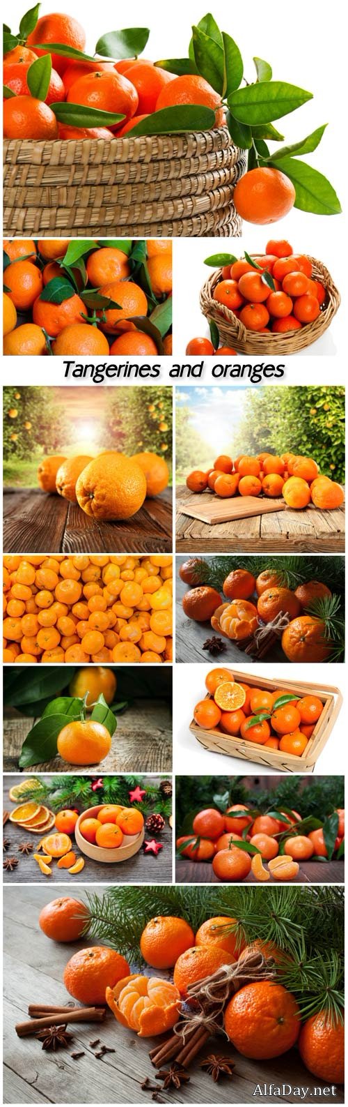 Tangerines and oranges