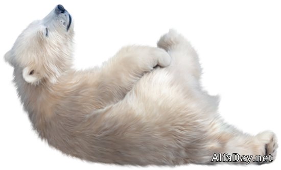 ����� ������� �� ���������� ����