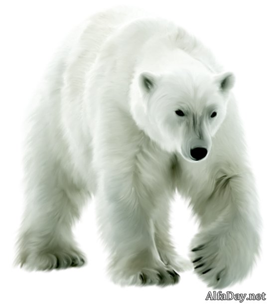 ����� ������� �� ���������� ����