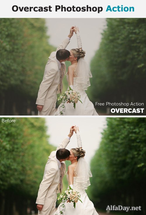 ����� ��� Photoshop - ������ ���������� ����