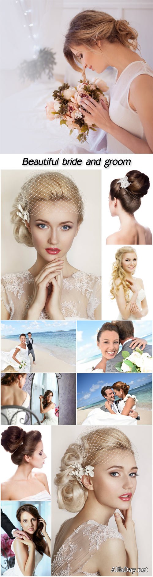 Wedding, beautiful bride and groom