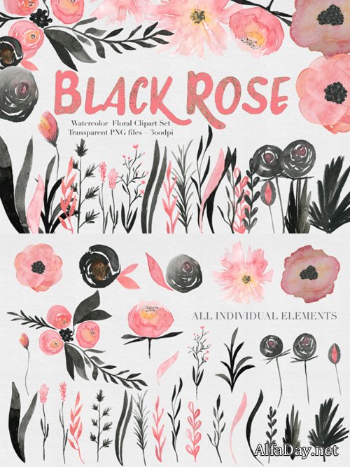 Black & Pink Rose Watercolor Set - Creativemarket 515844