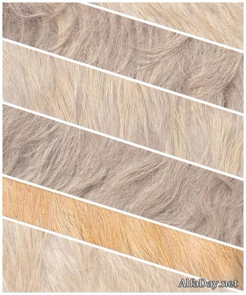 �������� ��� �������� � ���