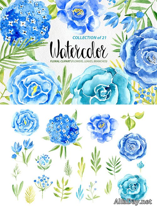 Watercolor blue flowers set - Creativemarket 534011