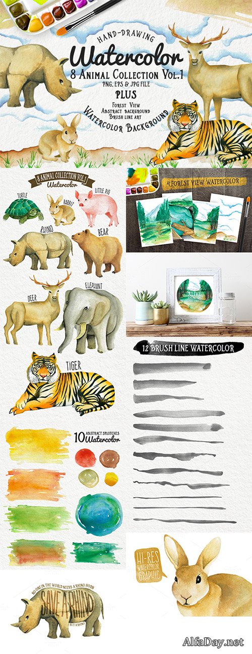 Watercolor Animal Vol.1 Plus - Creativemarket 472014