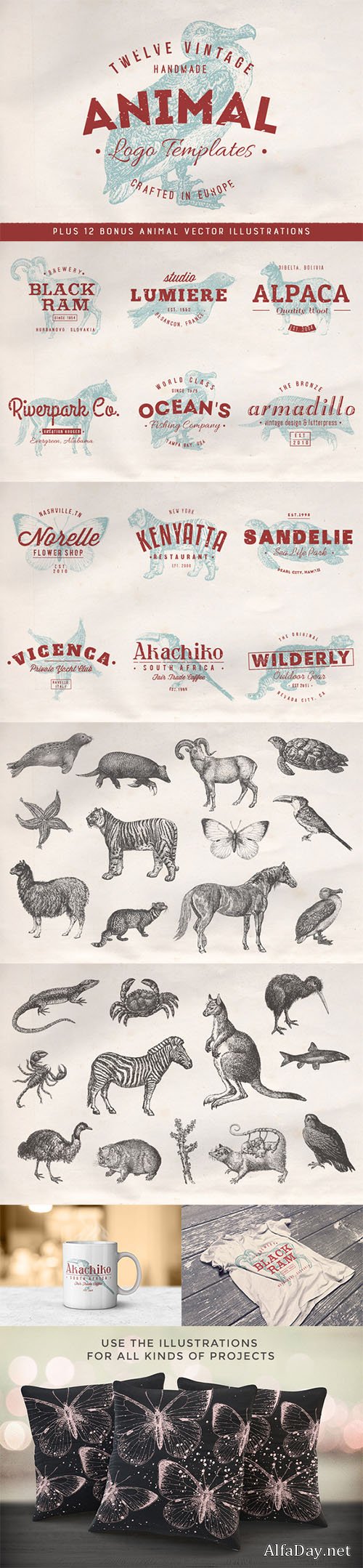 Animal Logo Badges + Bonus Vectors - Creativemarket 379142