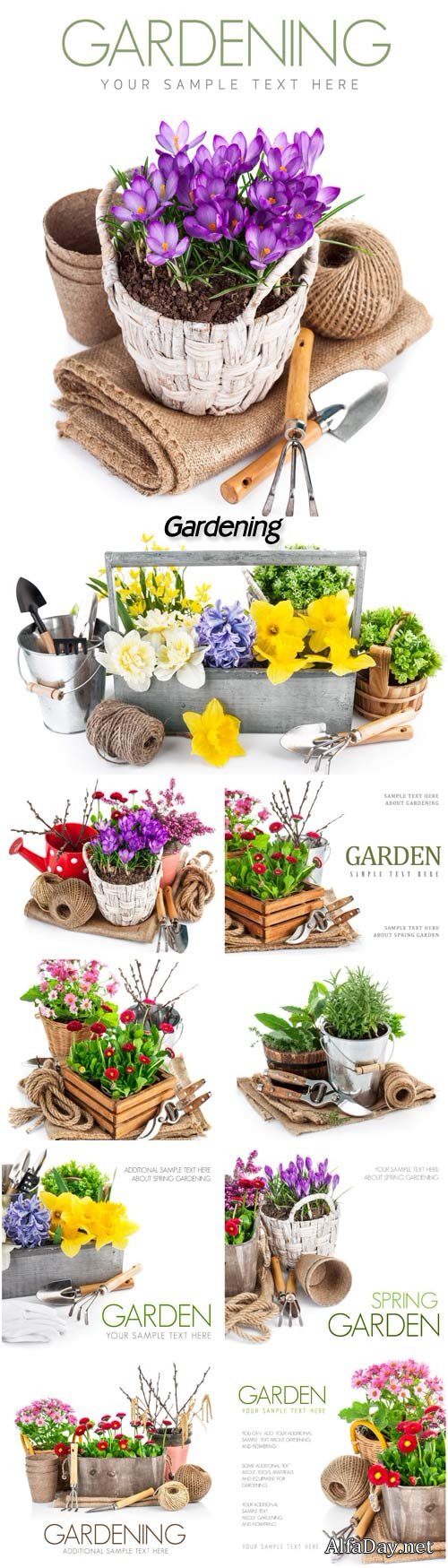 Gardening, flowers and plants