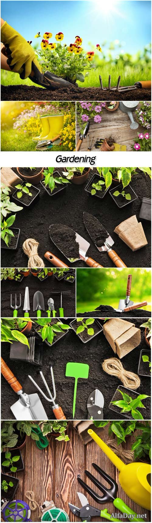 Gardening, flowers and gardening tools