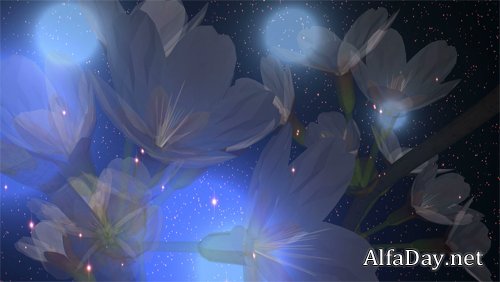 Delicate floral background footage 