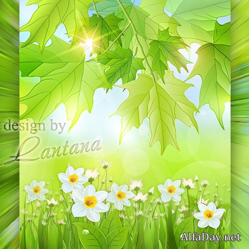 PSD �������� - ������ �������� � ��������� �����