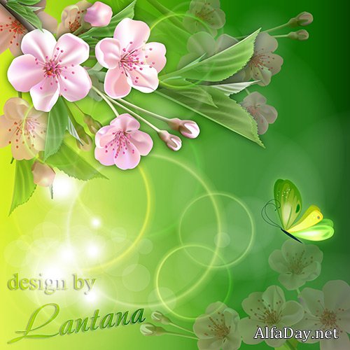 PSD �������� - �� ���, ������ �������, ����������, � ������ ����������