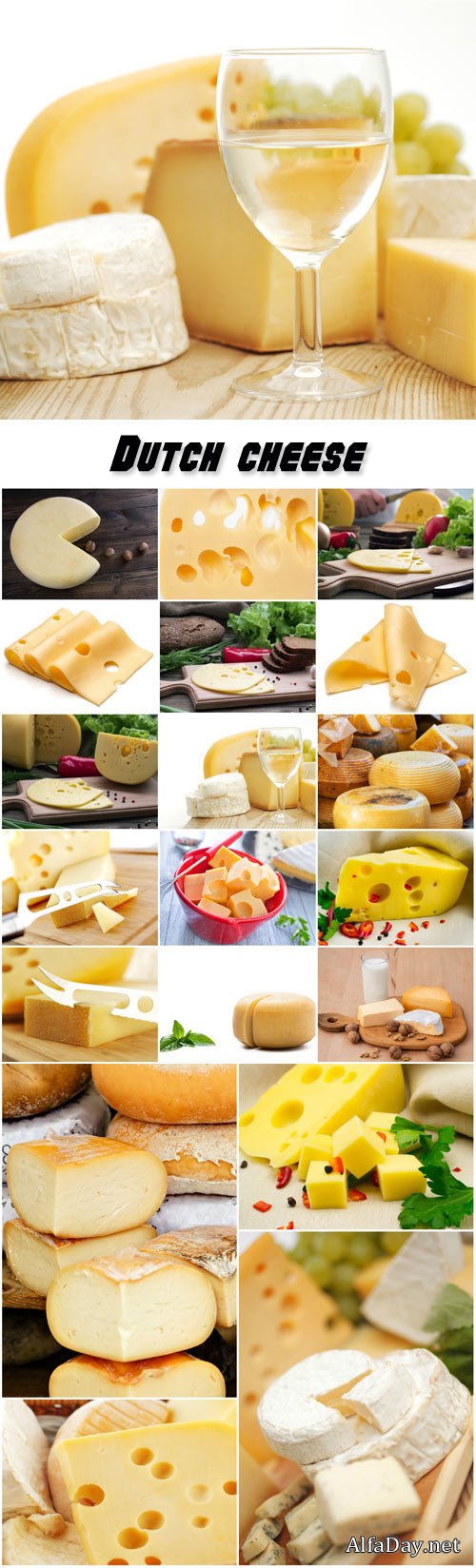 Dutch cheese, dairy products