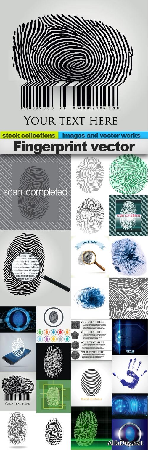 Fingerprint vector
