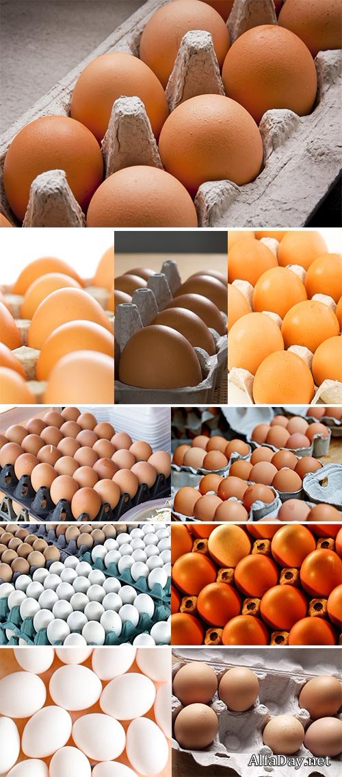 Stock Image Lots of eggs in the carton