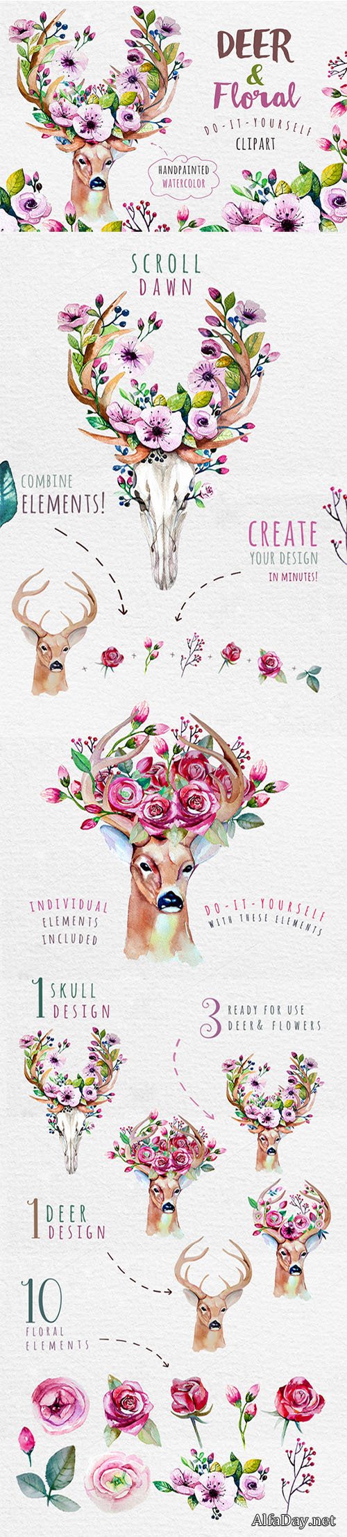 Deer, skull & floral - Creativemarket 334111