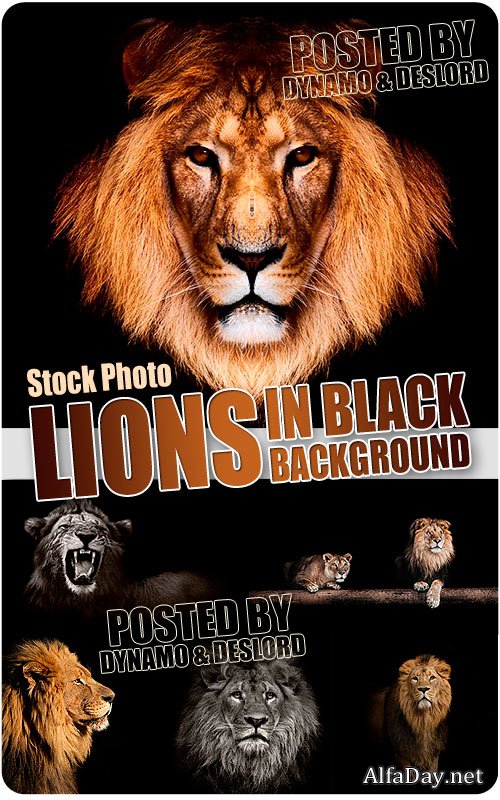 ���� �� ������ ���� - ��������� �������