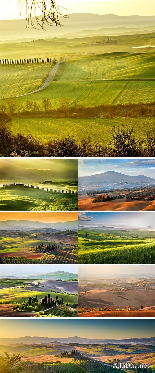 Stock Images Tuscany landscape at sunrise