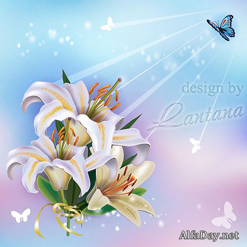 PSD �������� - ����� ����� ����� ����������