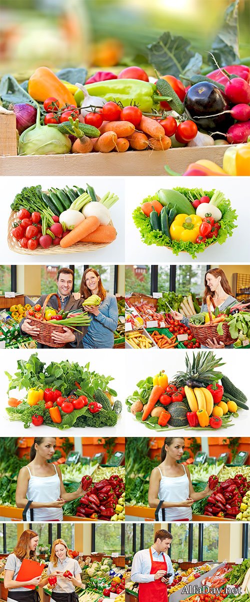 Colorful fresh vegetables in a shopping basket in a supermarket  Stock Image