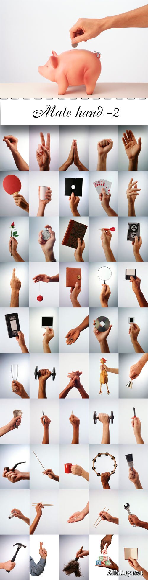 ���� �������� � ��������� ���������� ������ ������� - ��������� �������