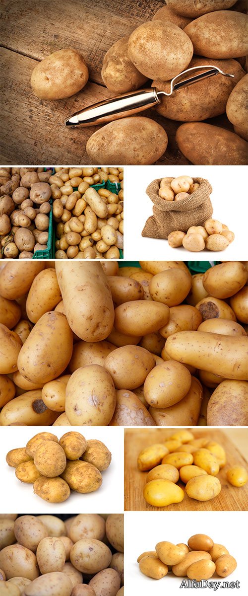 Stock Image Group of potatoes