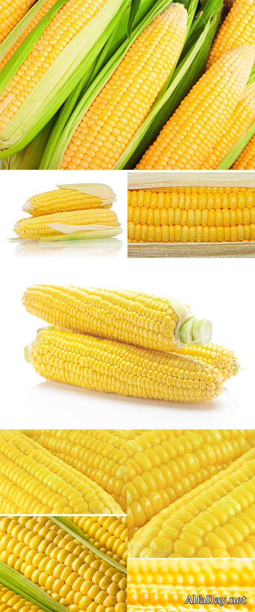 Stock Image Corns