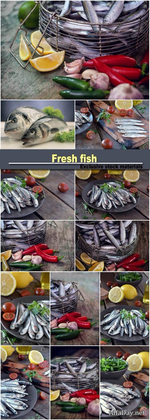 Fresh fish, tomato and lemon