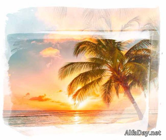 ���� ������� � ���� �����