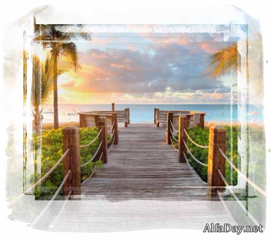 ���� ������� � ���� �����