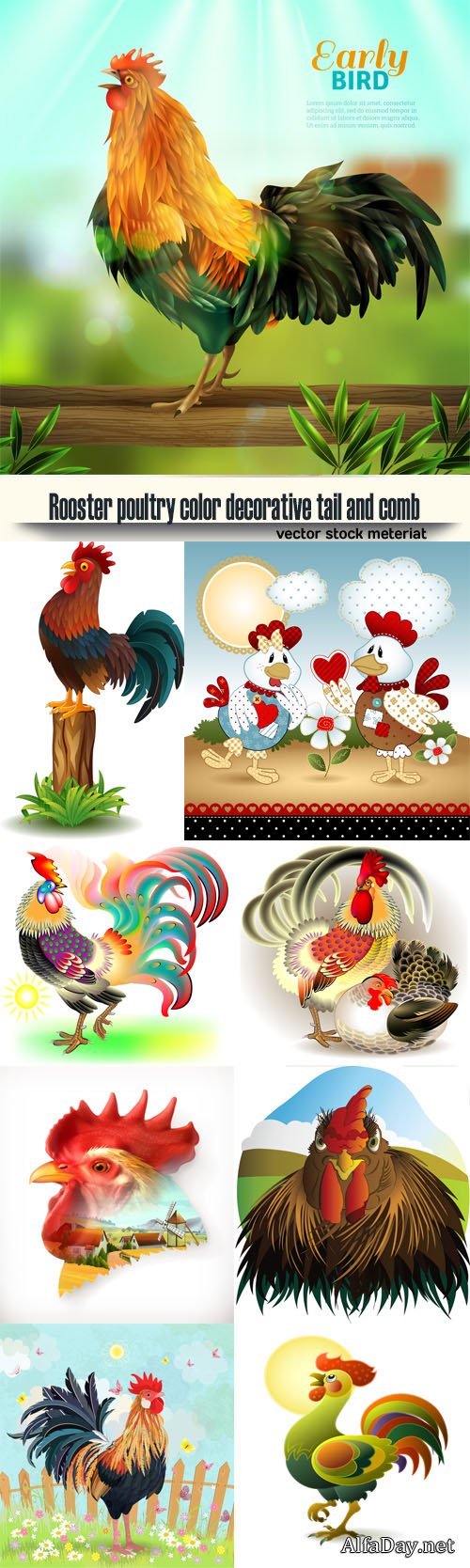 �����, ������ ���� 2017, ���������� ����� � �������