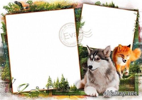  ������� ��� ���� - � ����� ����