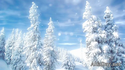 Winter forest in the snow HD