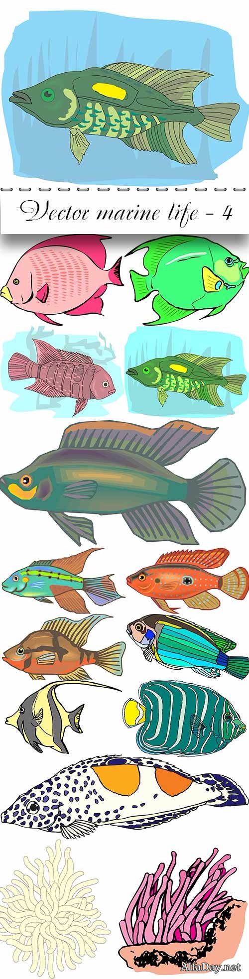 Vector marine life - 4