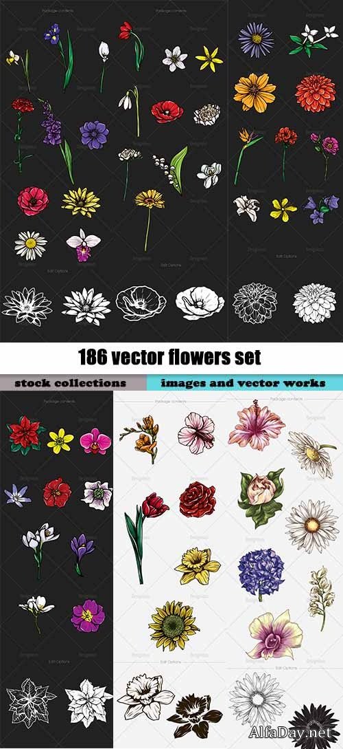 186 vector flowers set