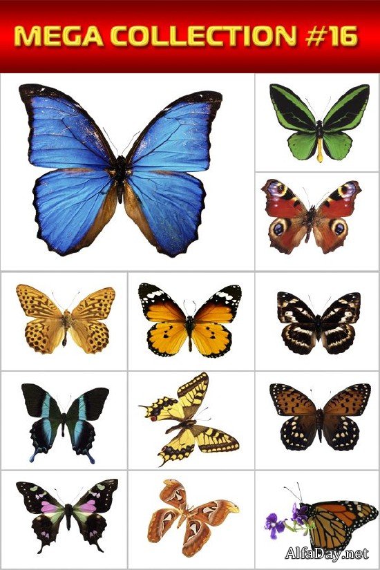 ������� ������� � ��������