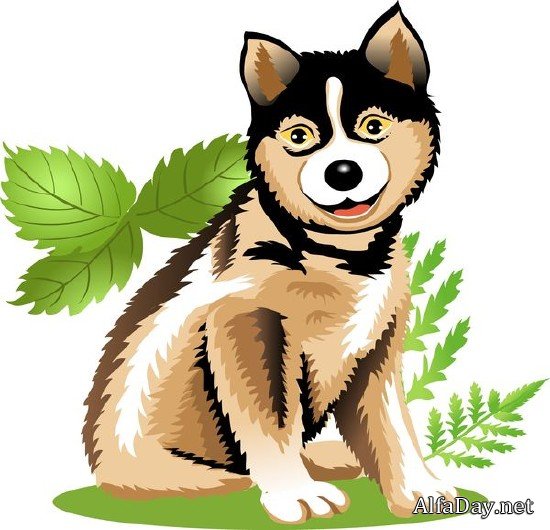 �������� �������� � �������