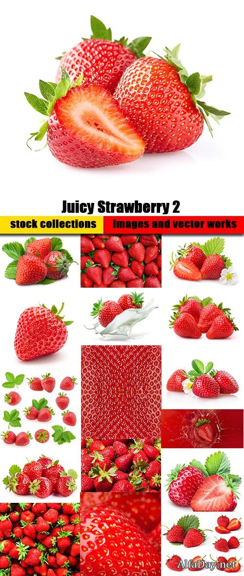 �������� ����� - ���� ������� �� ����� ����