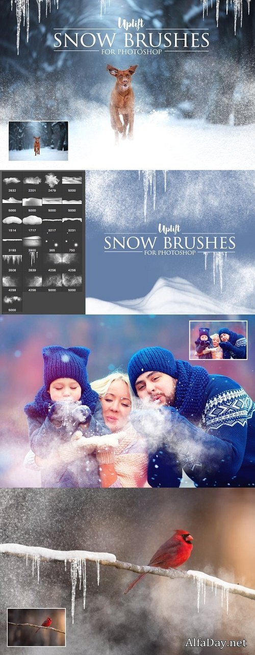 ������ ����� ��� �������� - ����, ��������, ������� �����